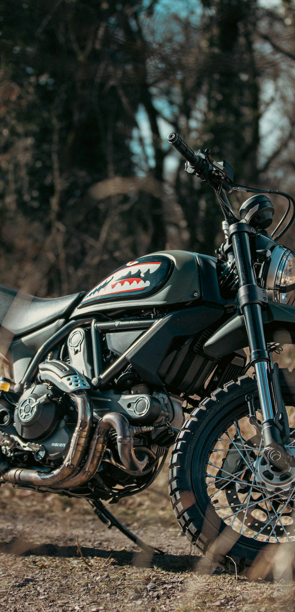 Ducati Scrambler