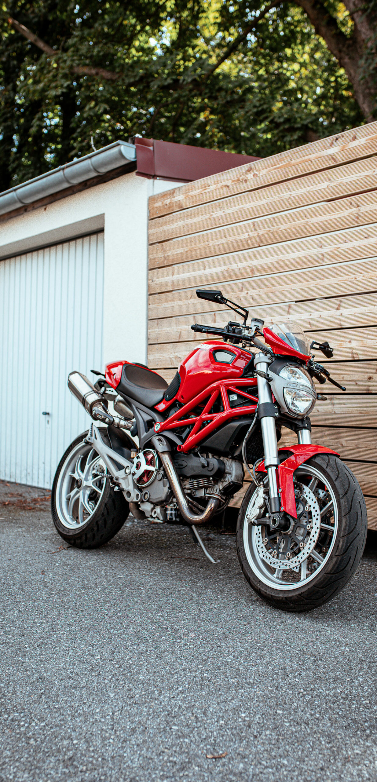 Ducati Monster